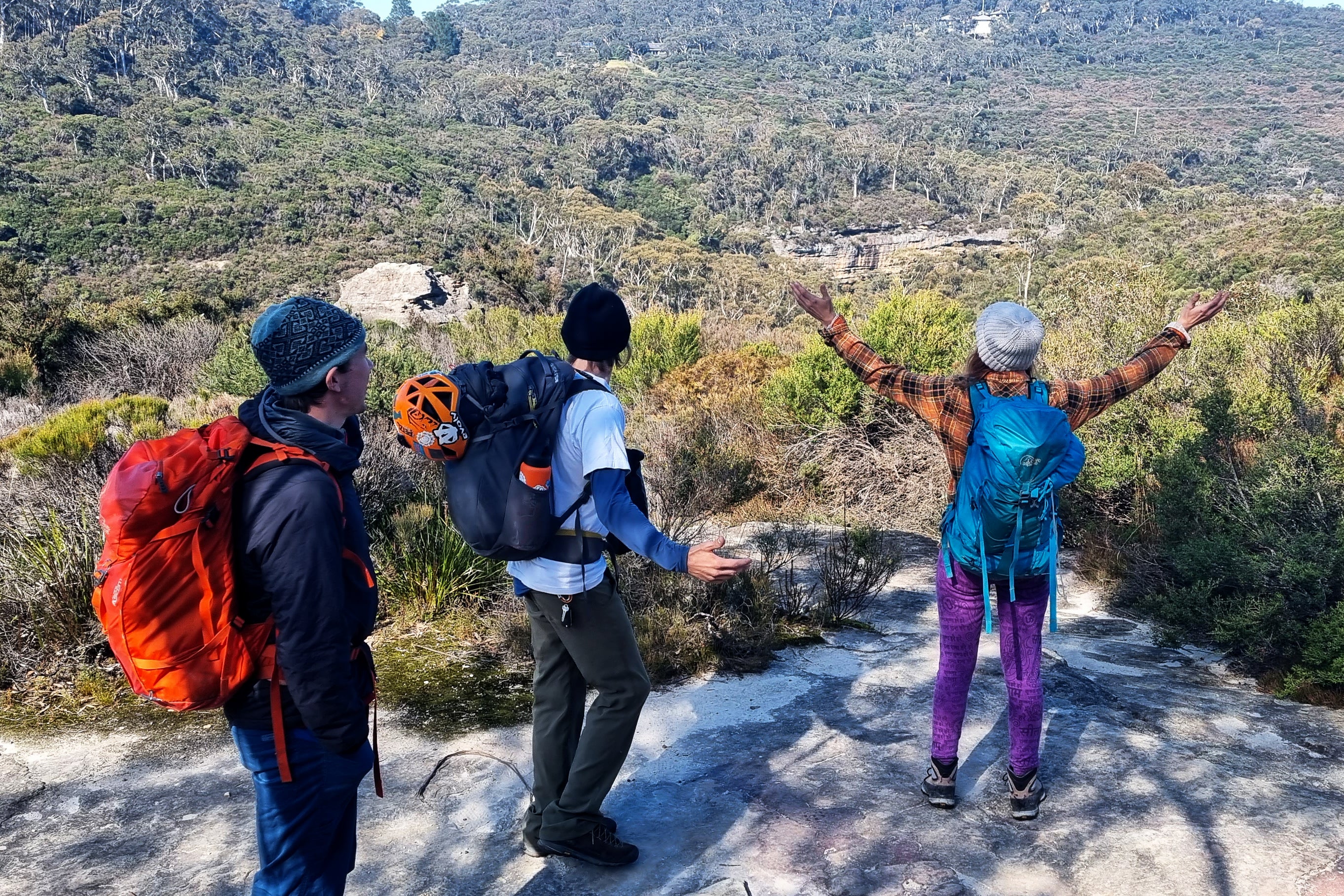 Trip To Bluies And Back Again