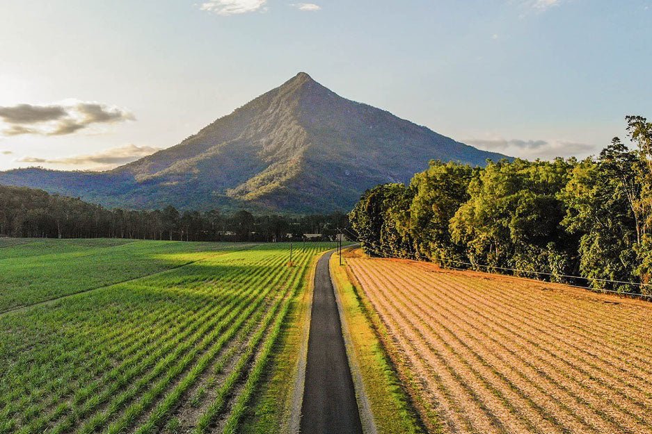 Trail Running in Far North Queensland