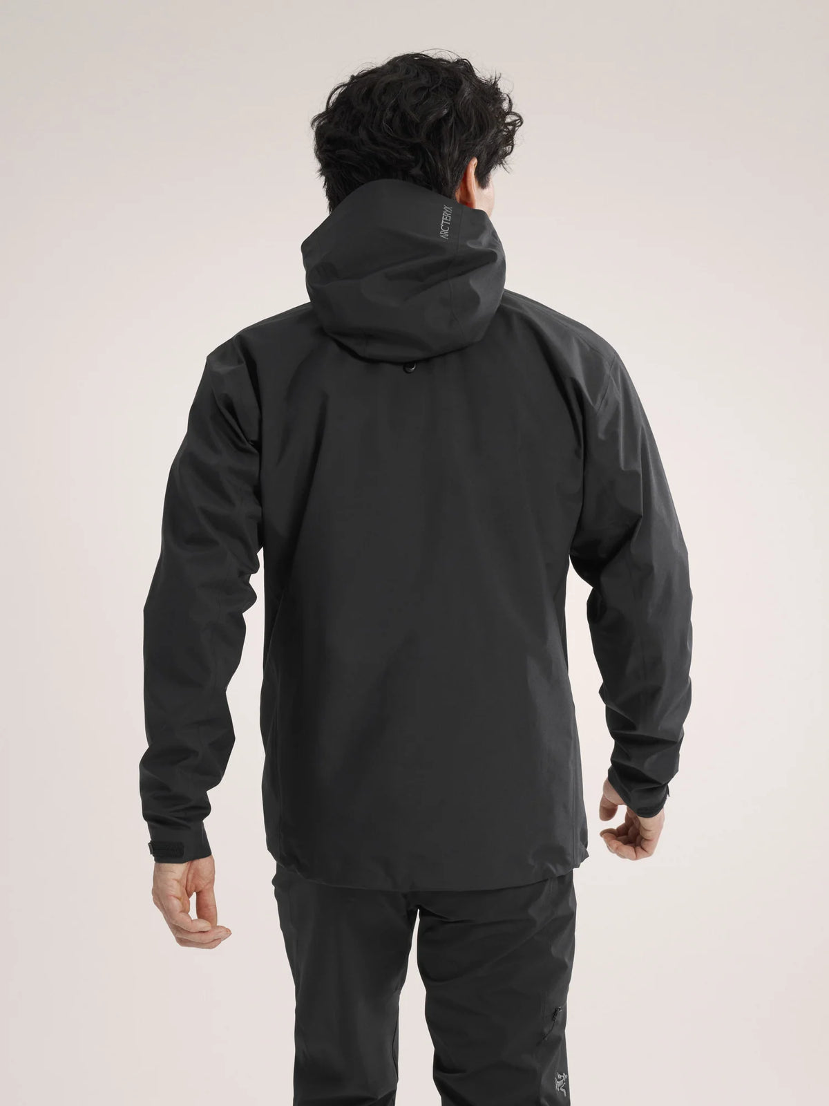 ArcTeryx Beta Mens Waterproof Hooded Jacket