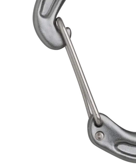 Edelrid Nineteen G II Carabiner
