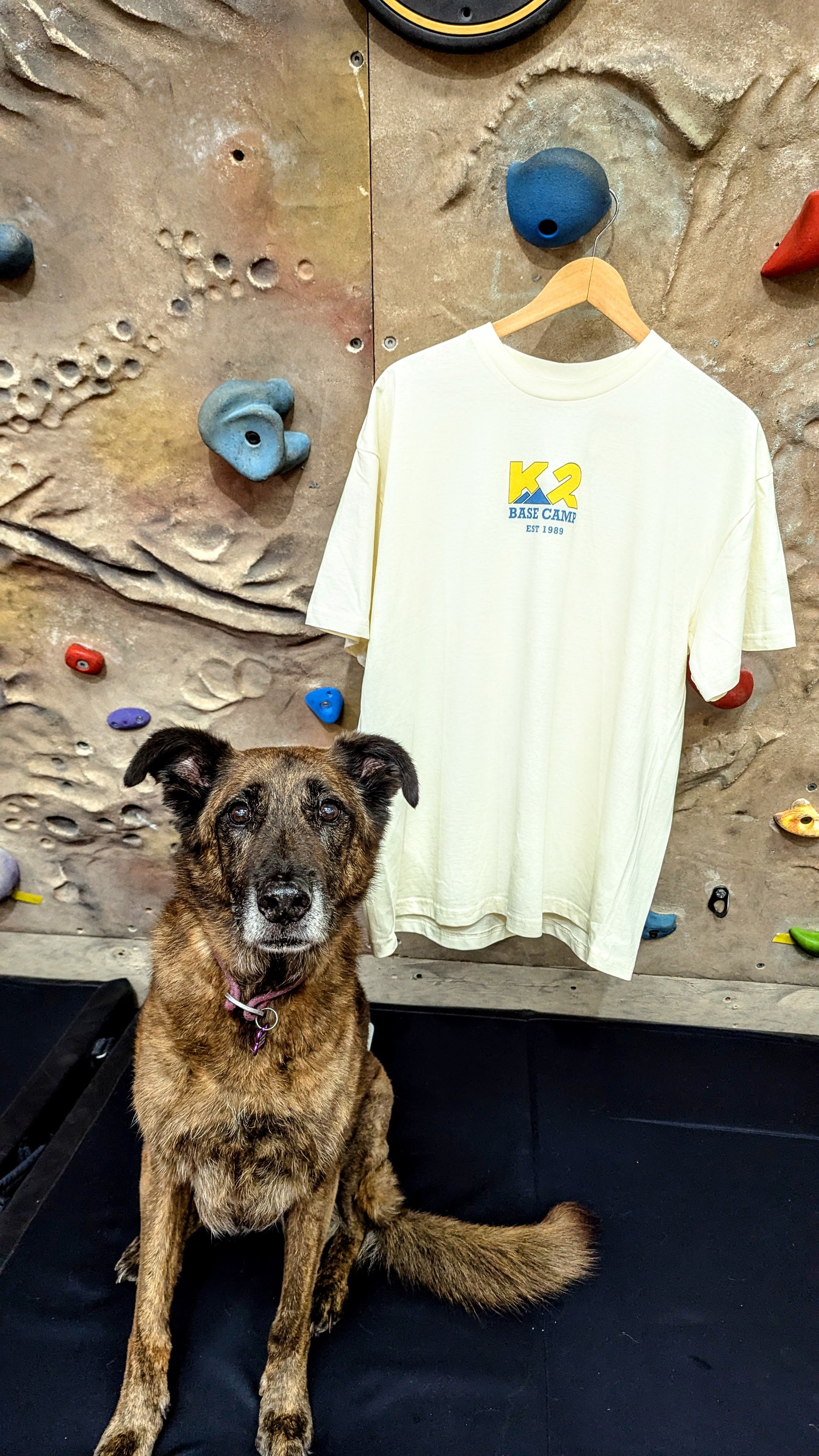 K2 BYO Adventure Oversized Tee - Ecru