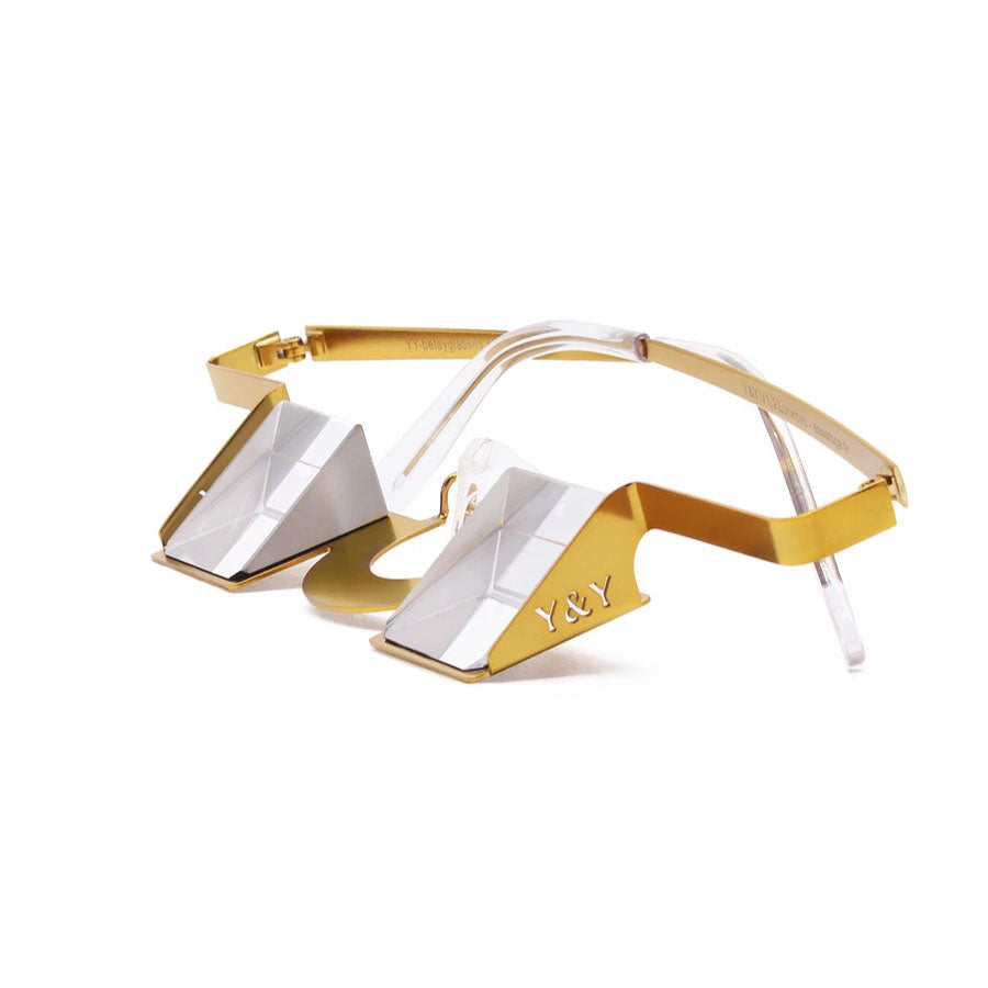 YY Vertical Classic Belay Glasses