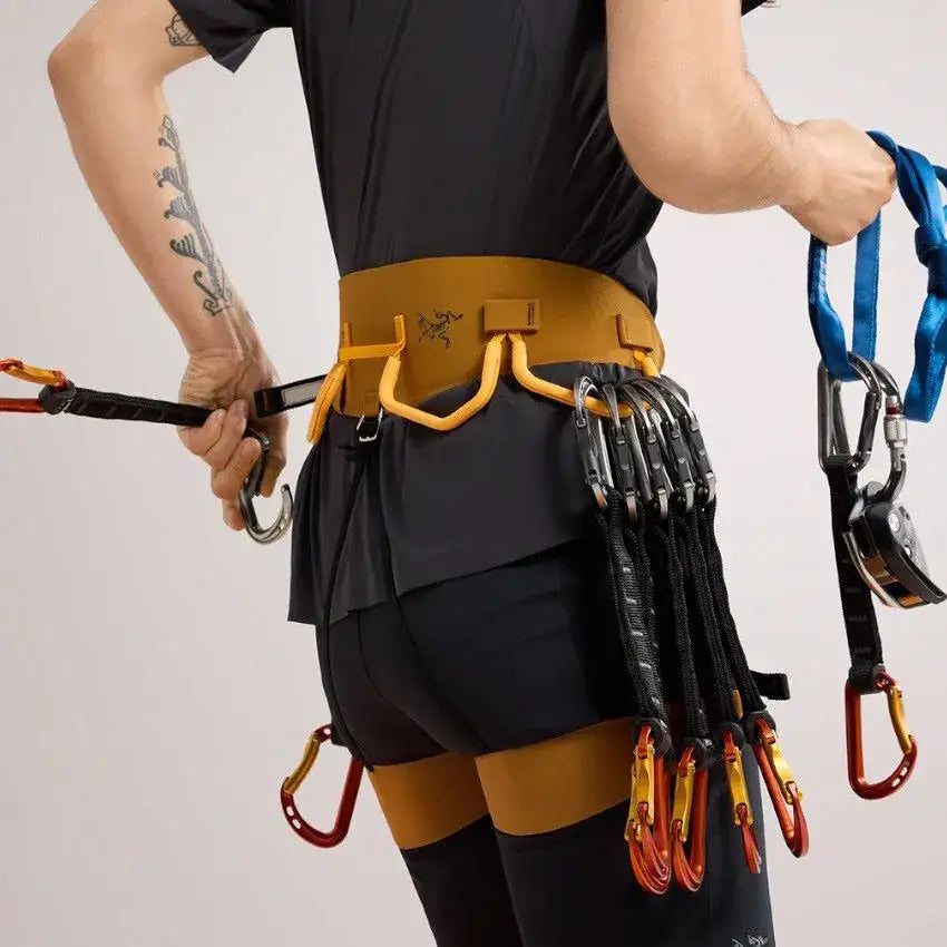 Arcteryx AR-385a Womens Climbing Harness - Yukon/Amaranthus