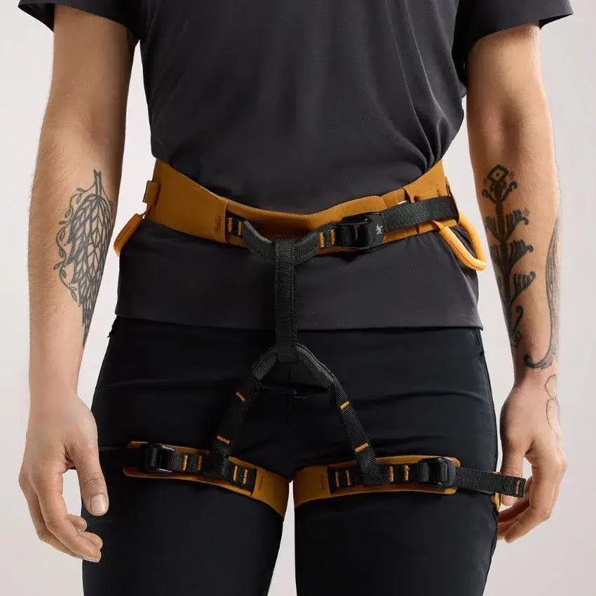 Arcteryx AR-385a Womens Climbing Harness - Yukon/Amaranthus