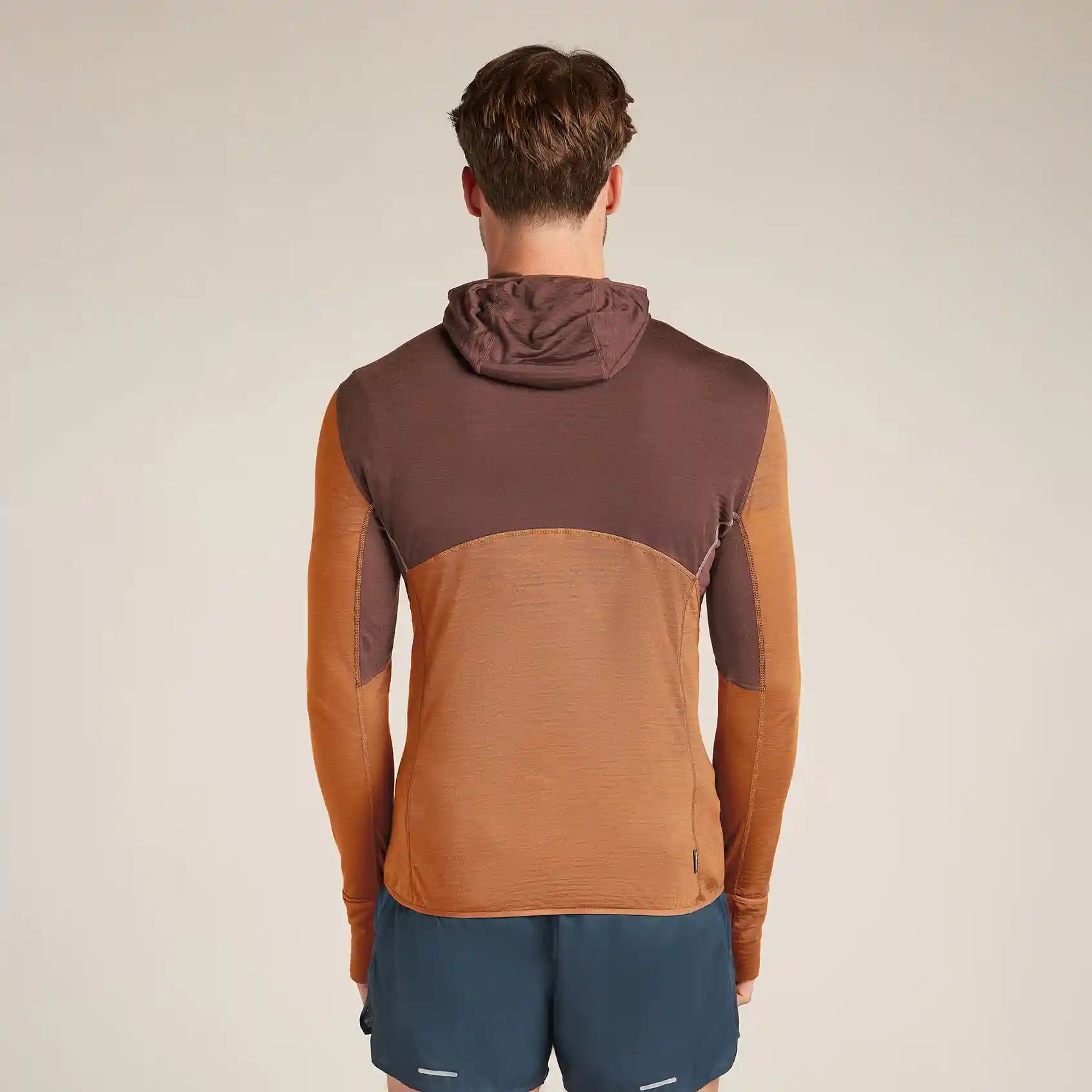 Icebreaker 200 Realfleece Descender Long Sleeve Mens Hooded Jacket