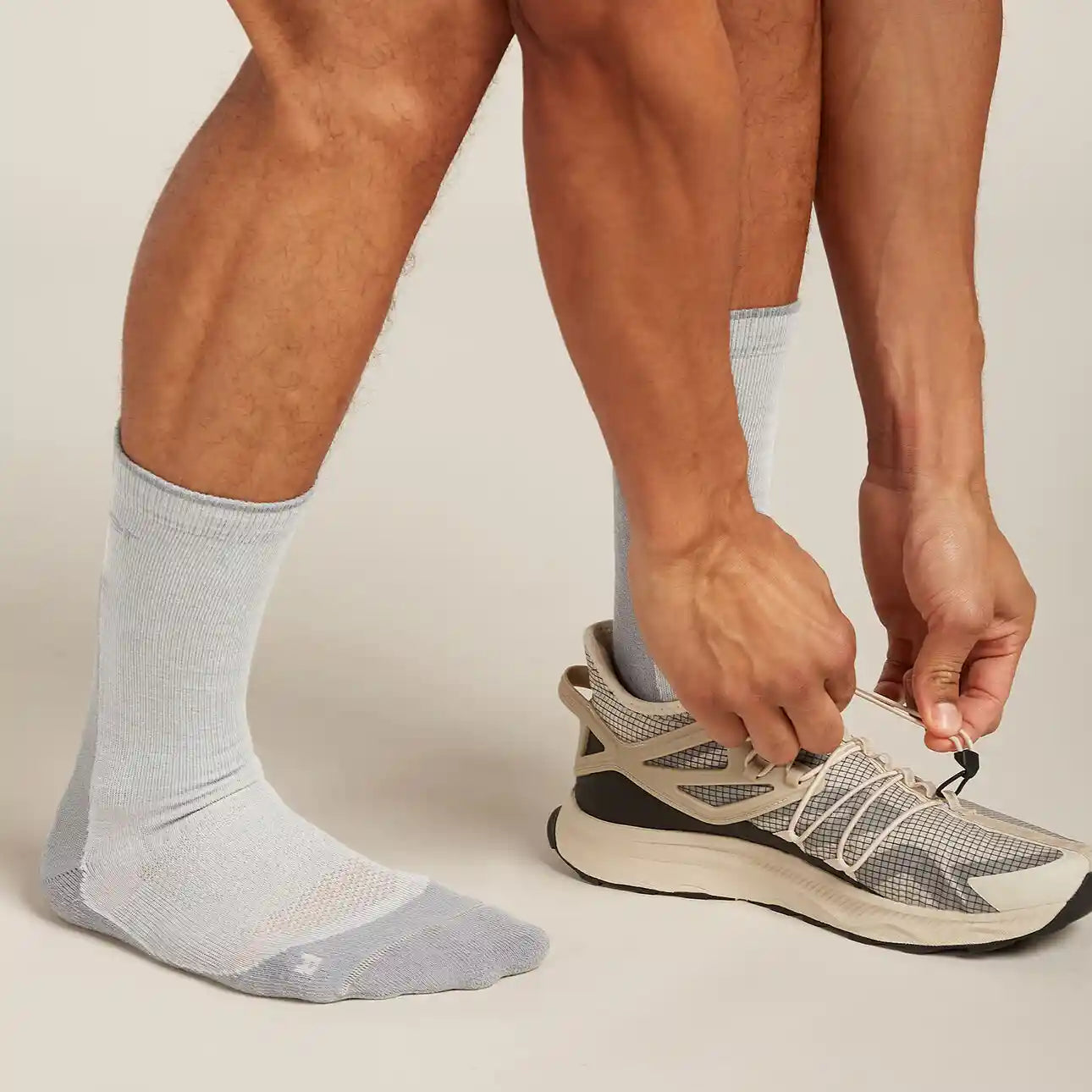 Icebreaker Hike+ Light Crew Mens Socks