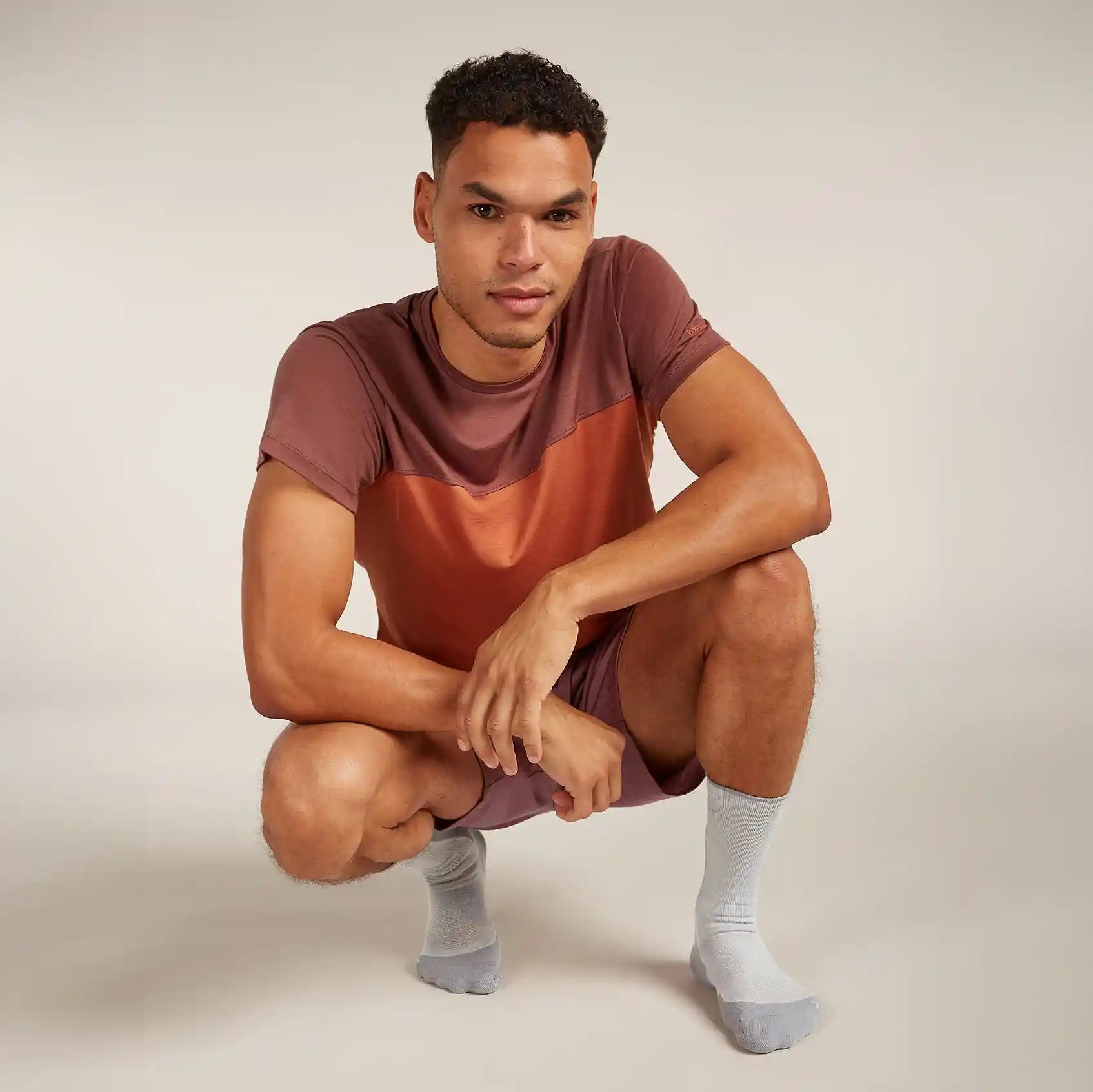 Icebreaker Hike+ Light Crew Mens Socks