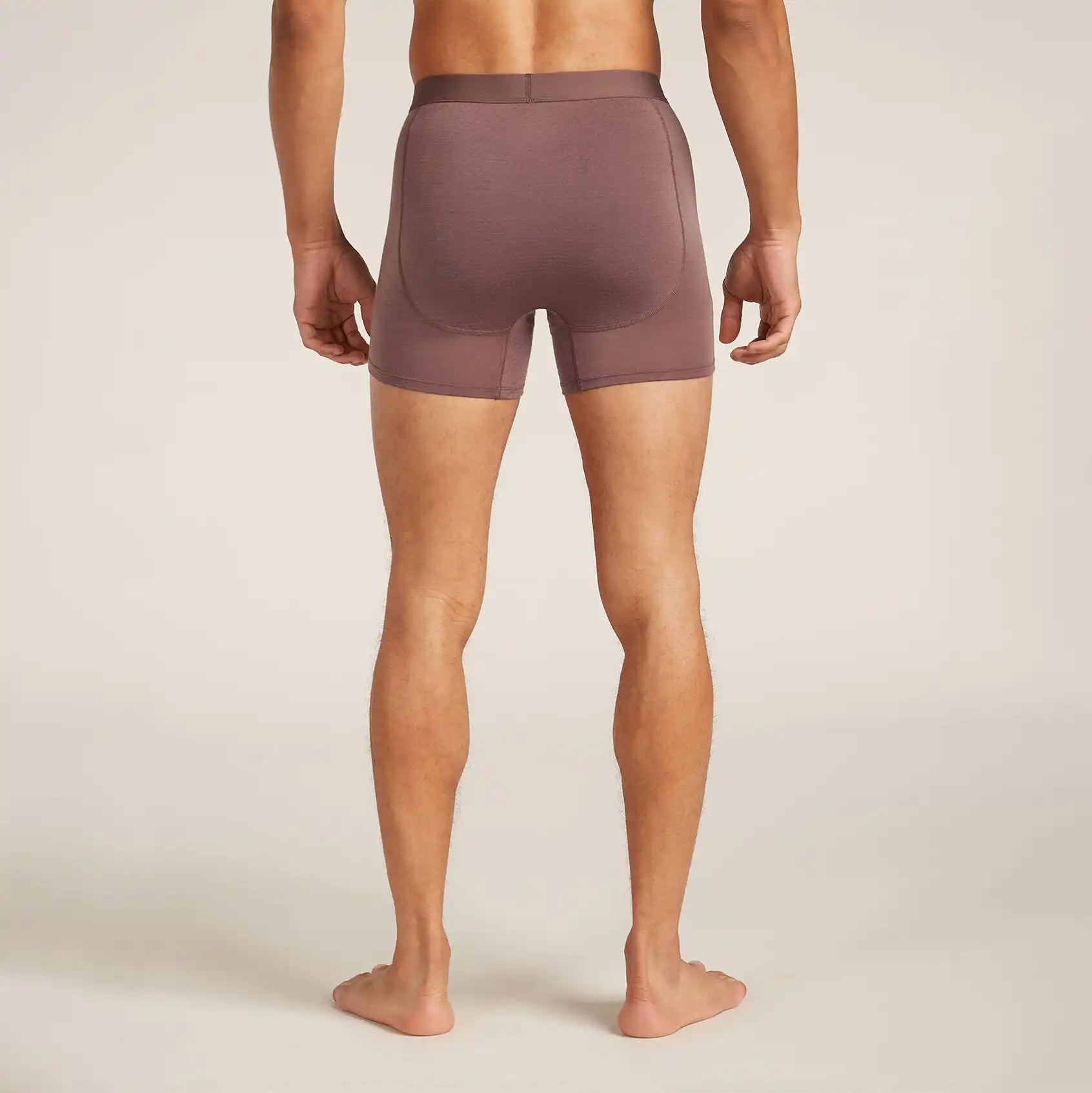 Icebreaker Merino Blend 125 ZoneKnit Boxers