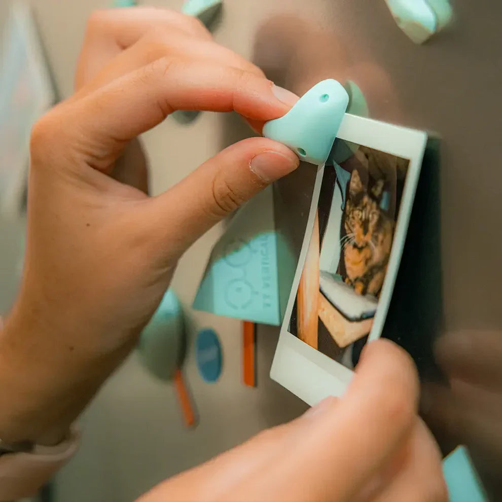 YY Vertical Boulder Magnet