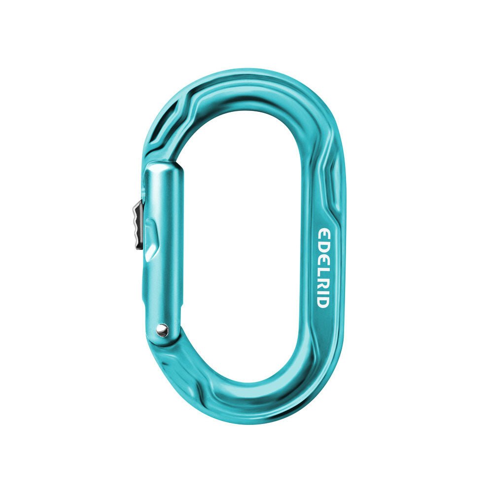 Edelrid Kiwi Slider Climbing Carabiner Colour Icemint