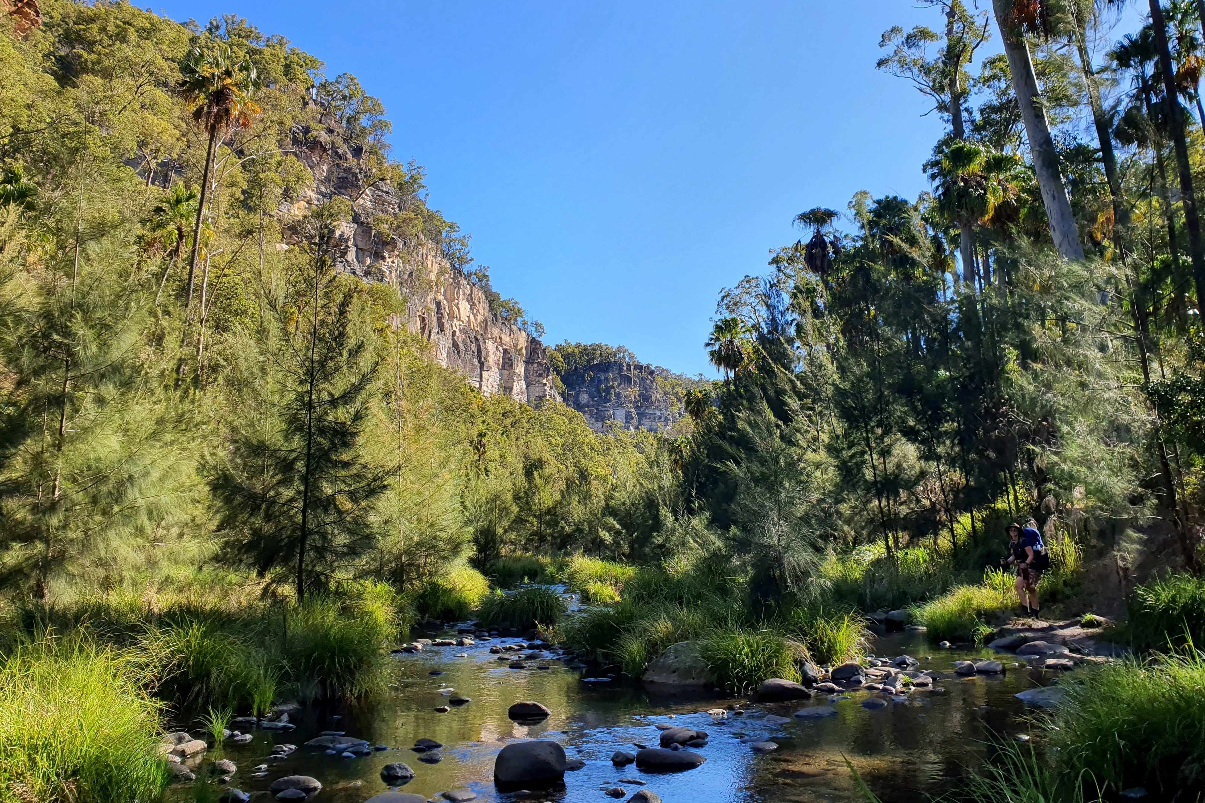 Trip Notes: Carnarvon Gorge Great Walk