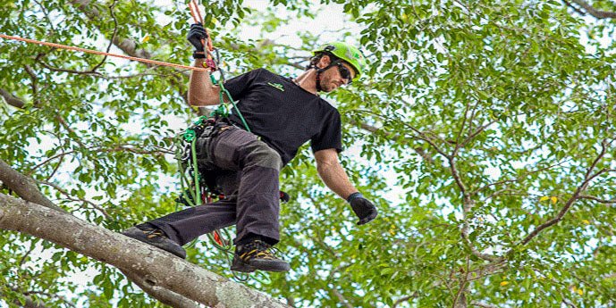 Industrial Climbing Gear for Arborists