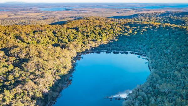 Saving Cooloola