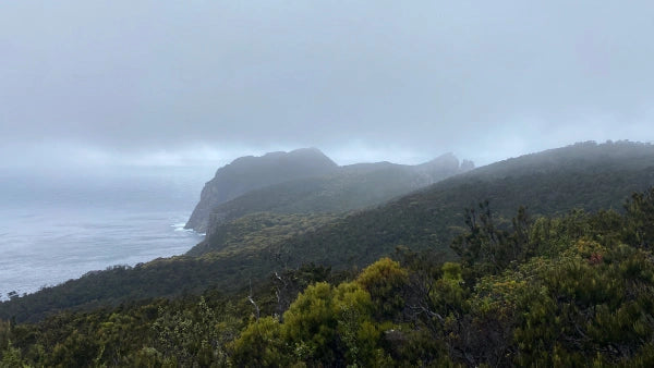 Three Capes Track Hiking Guide