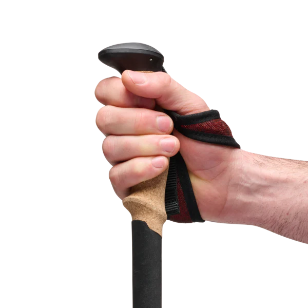 Black Diamond Pursuit Carbon Z Hiking Poles