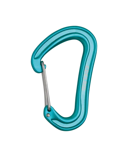 Edelrid Nineteen G II Carabiner
