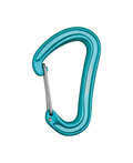 Edelrid Nineteen G II Carabiner