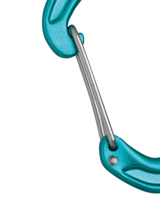 Edelrid Nineteen G II Carabiner