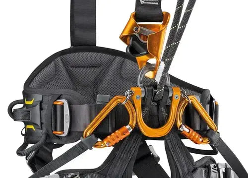 Petzl Jane-Y Progress Lanyard