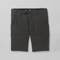 prAna Stretch Zion II Mens Hiking Shorts 10 Inseam