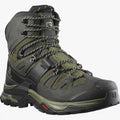 Salomon Quest 4 Gtx Mens Boot 1 Colour Olive