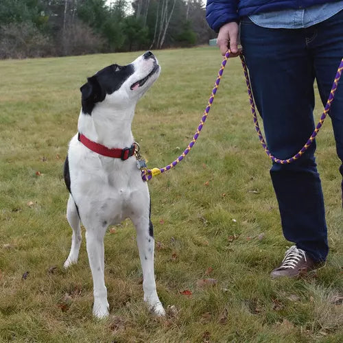 Sterling Rope Dog Leash