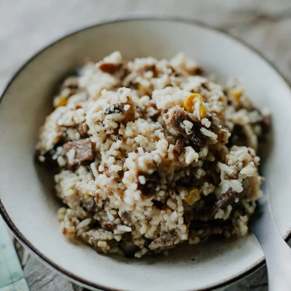 Back Country Cuisine Freeze Dried Food - Beef Stroganoff