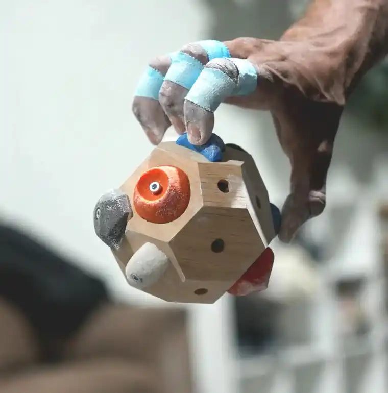 Climbers Gift Boulder Block & Challenge Deck Card Game