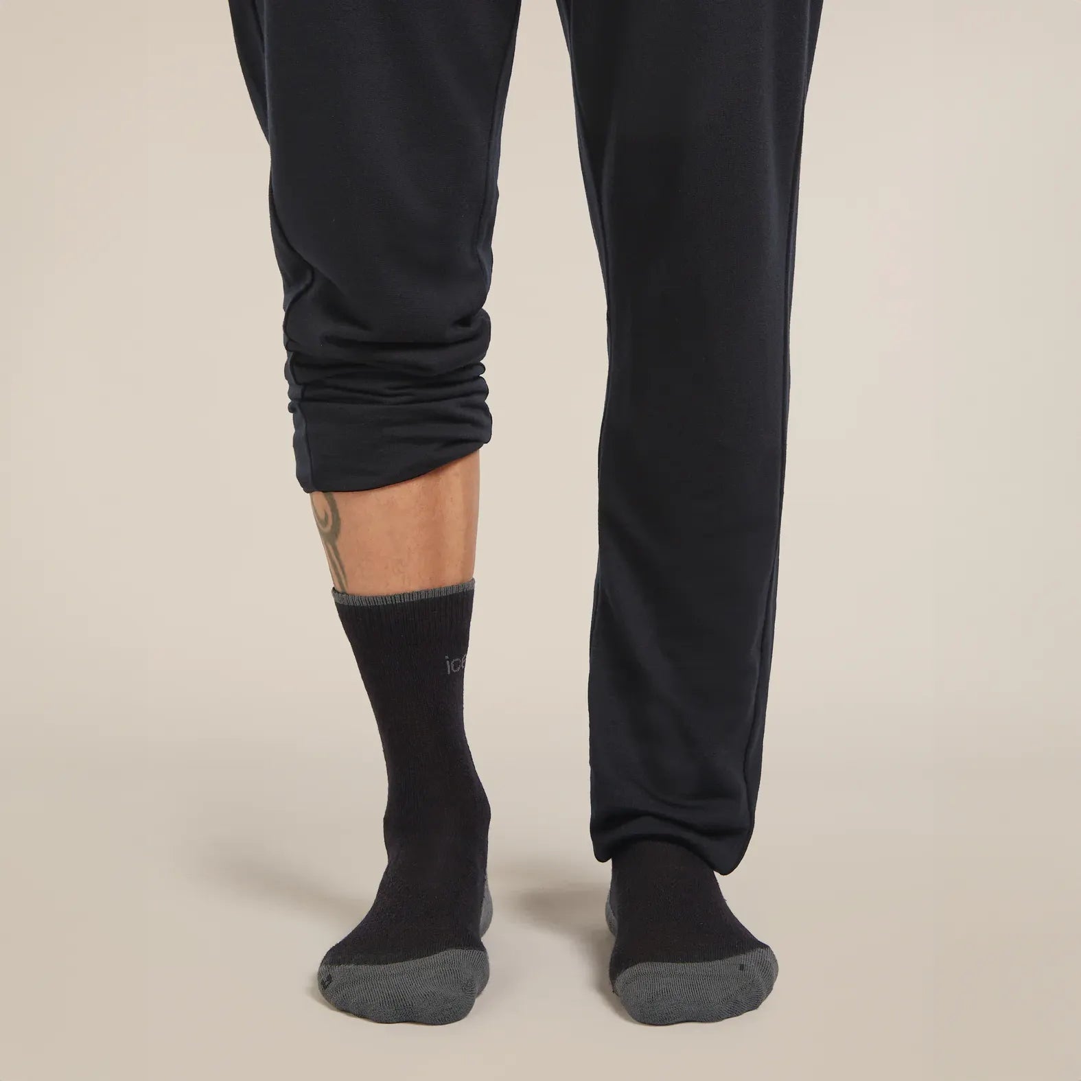 Icebreaker Hike+ Light Crew Mens Socks