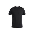 Icebreaker Merino 125 Cool-Lite Sphere Mens Short Sleeve T-Shirt