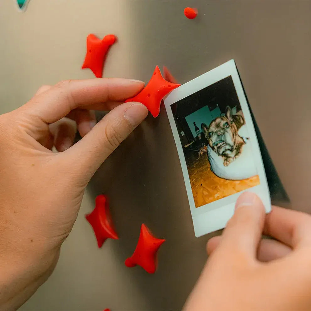 YY Vertical Speed Magnet