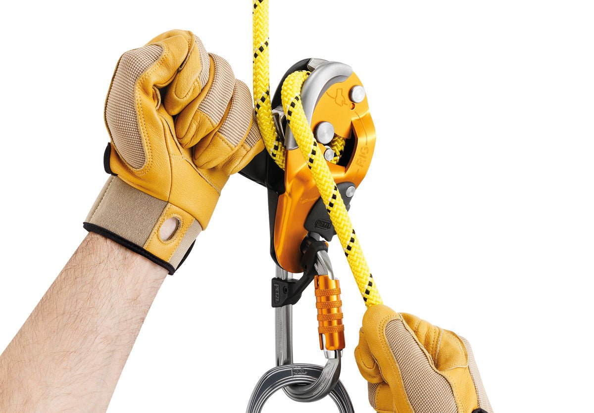 Petzl Rig Industrial Climbing Descender