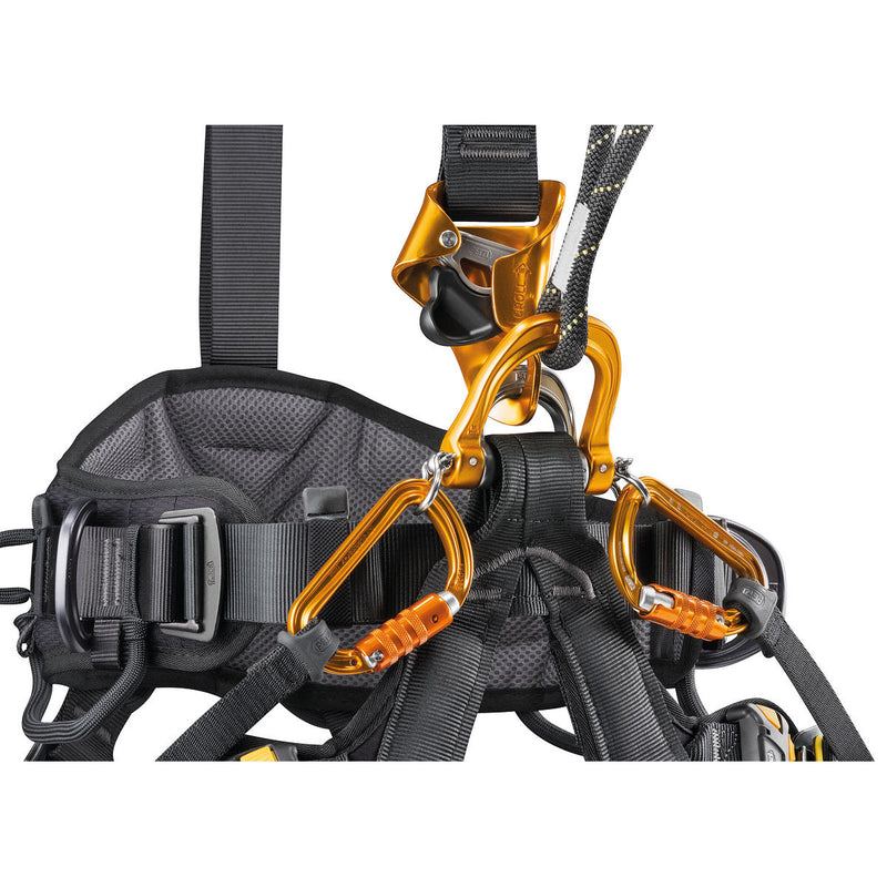 Petzl Astro Bod Fast International Rope Access Harness