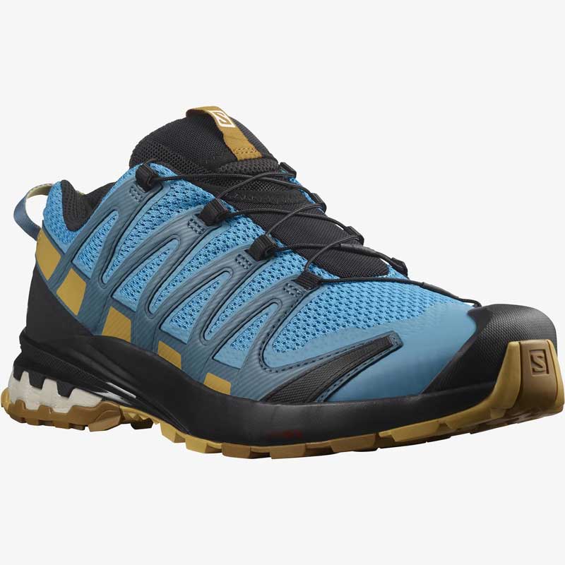 Salomon Xa Pro 3D V8 Mens Running Shoe Colour Barrier Reef_Fall Leaf_Bronze Brown